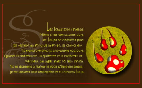 Graphisme site web.